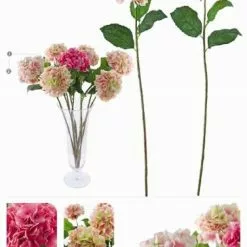 Ortensia Rosa Chiaro E Rosa Scuro H 84