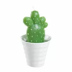 Candela Pianta Grassa Fico D'india In Vasetto