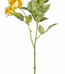 Fiore Rosa Baby Boccioli Giallo 39h