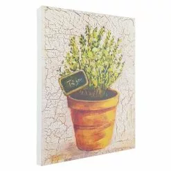 Quadro Dipinto Pianta Aromatica Timo 13x18h