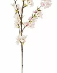 Ramo Fiori Di Ciliegio Rosa 100h