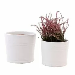 Vaso Ceramica Smaltata Bianca Tondo Portavaso