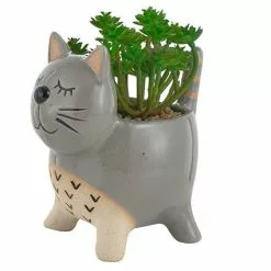 Vaso Gatto Grigio Ceramica Con Pianta