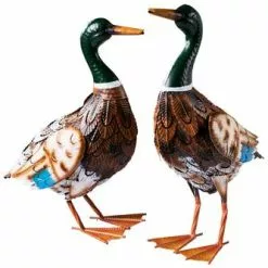 Coppia Anatre Maschio E Femmina Ferro Dipinto