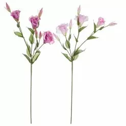 Fiore Lisianthus Rosa Ramo Boccioli 78h